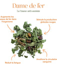 Dame de fer - La tisane anti-anémie