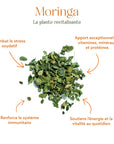 Moringa - La plante revitalisante et reminéralisante
