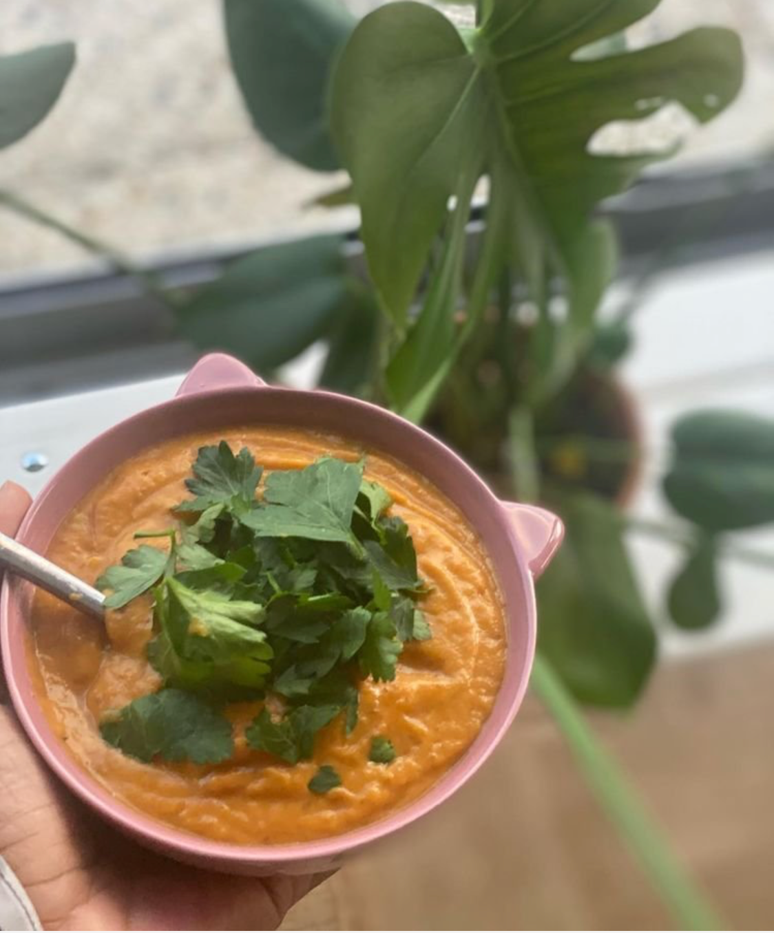Soupe anti-inflammatoire rapide