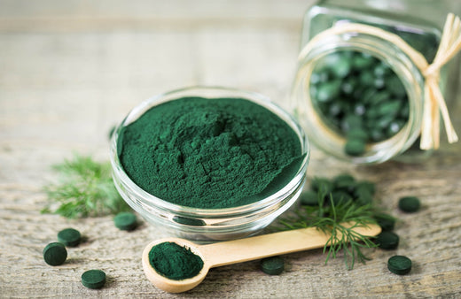 Fiche plantes & aliments : la spiruline
