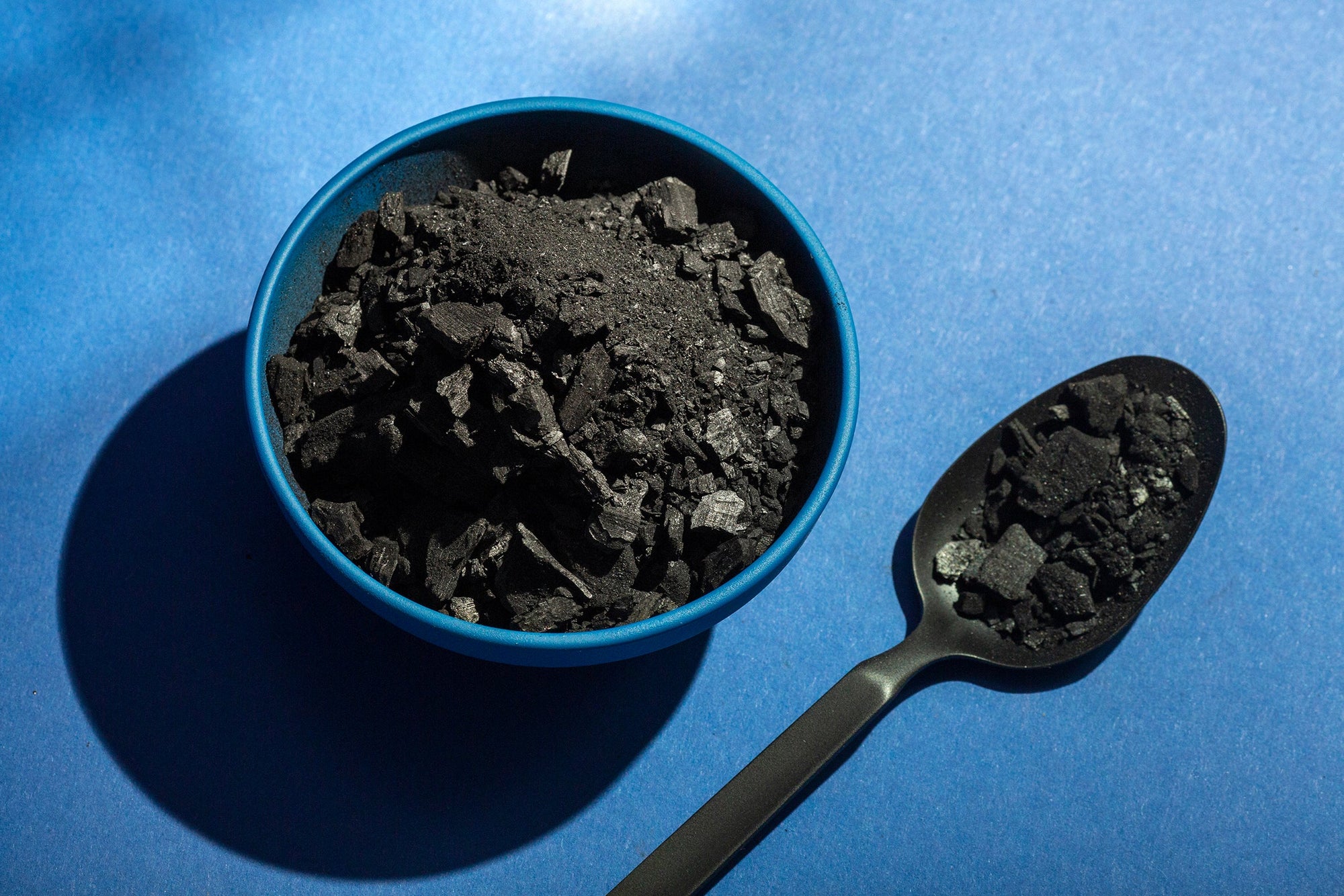 Fiche plantes & aliments - Shilajit