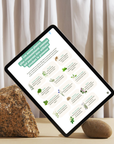 Le guide Plantes & Grossesse
